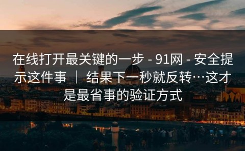 在线打开最关键的一步 - 91网 - 安全提示这件事 ｜ 结果下一秒就反转…这才是最省事的验证方式