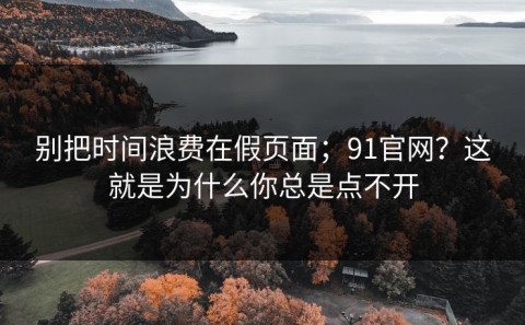 别把时间浪费在假页面；91官网？这就是为什么你总是点不开