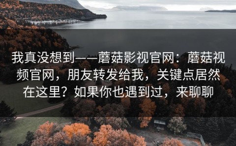 我真没想到——蘑菇影视官网：蘑菇视频官网，朋友转发给我，关键点居然在这里？如果你也遇到过，来聊聊
